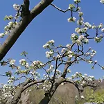 Casamapun Natura E Cultura *
