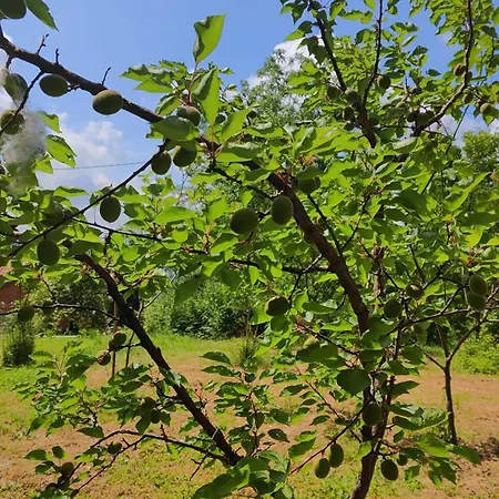 Casamapun Natura E Cultura * Rocca Canavese