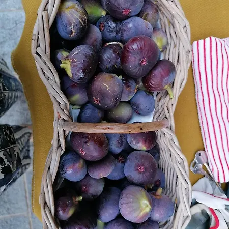 Casamapun Natura E Cultura Rocca Canavese