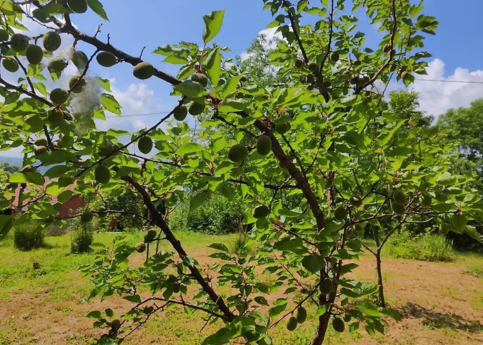 Casamapun Natura E Cultura * Rocca Canavese