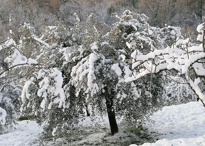 Casa de Férias Casamapun Natura E Cultura *