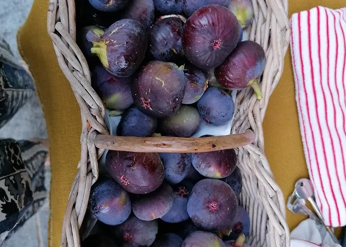 Casamapun Natura E Cultura Rocca Canavese