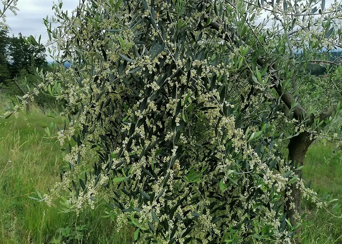 Casamapun Natura E Cultura Casa de Férias *